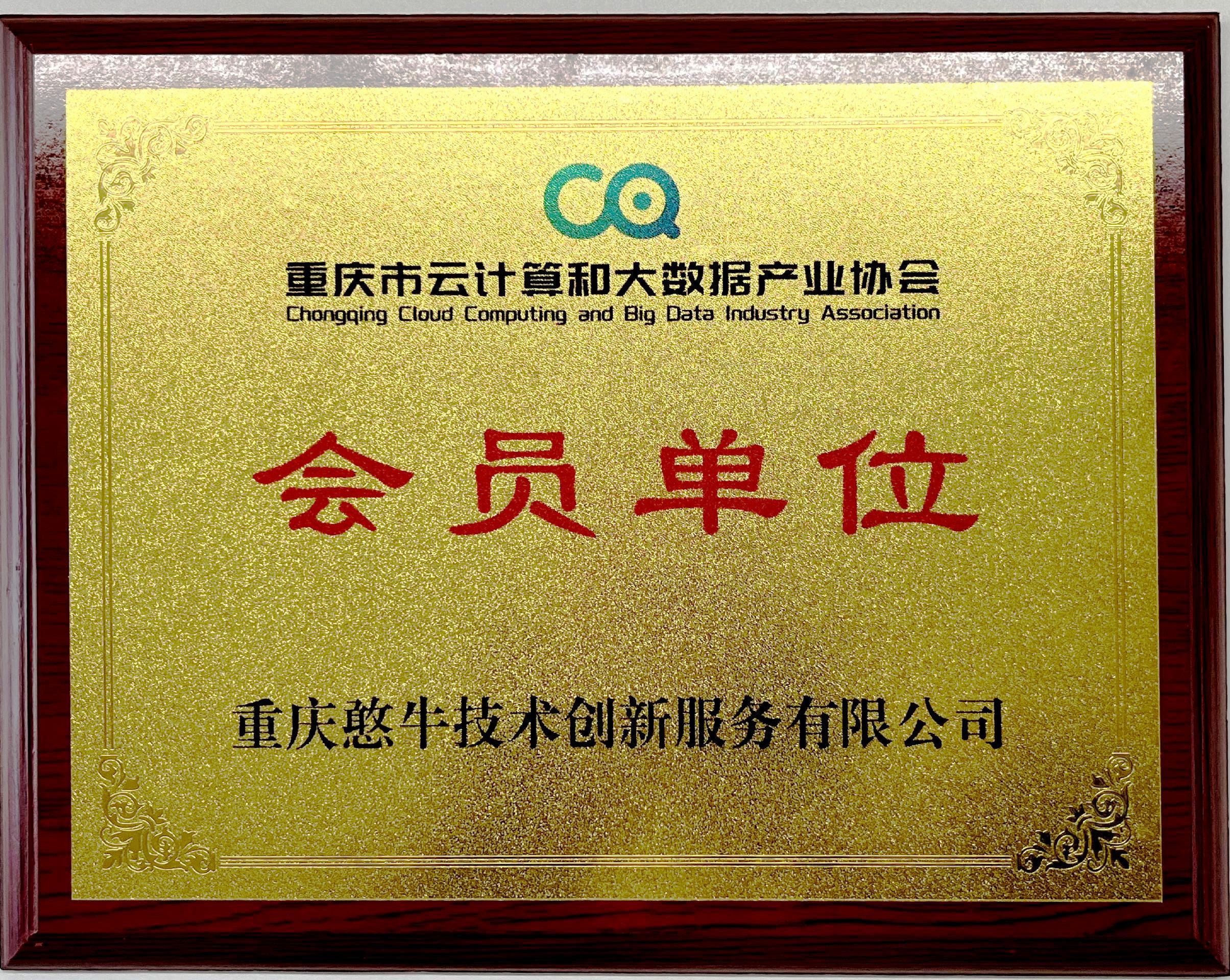 重庆市云计算和大数据产业协会会员单位